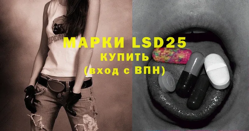 LSD-25 экстази ecstasy  Каменногорск 